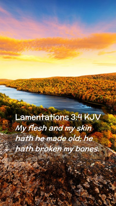 Picture 02 - Lamentations 3:4 KJV Mobile Phone Wallpaper - My flesh and my skin hath he made old; he hath - Mobile Bible Verse Wallpaper