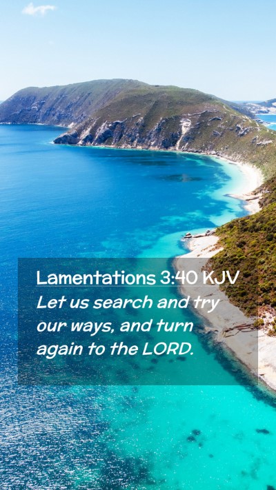 Picture 02 - Lamentations 3:40 KJV Mobile Phone Wallpaper - Let us search and try our ways, and turn again to - Mobile Bible Verse Wallpaper
