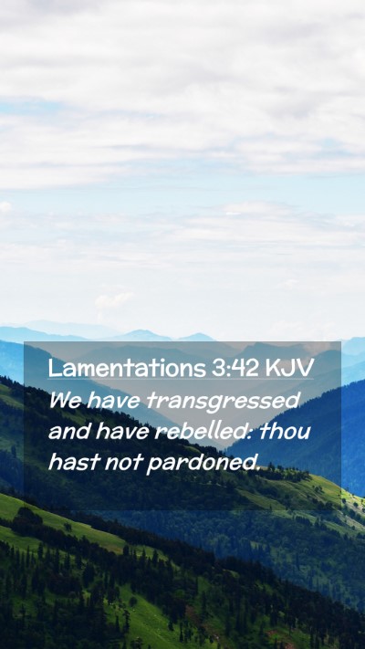 Picture 02 - Lamentations 3:42 KJV Mobile Phone Wallpaper - We have transgressed and have rebelled: thou hast - Mobile Bible Verse Wallpaper