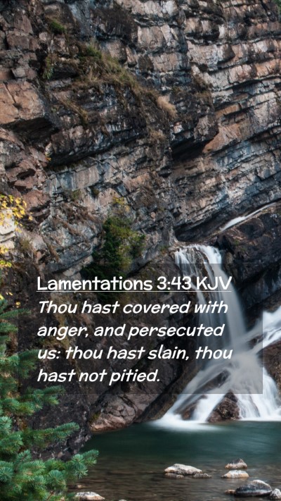 Picture 02 - Lamentations 3:43 KJV Mobile Phone Wallpaper - Thou hast covered with anger, and persecuted us: - Mobile Bible Verse Wallpaper