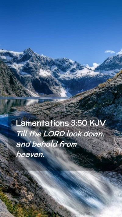 Picture 02 - Lamentations 3:50 KJV Mobile Phone Wallpaper - Till the LORD look down, and behold from - Mobile Bible Verse Wallpaper