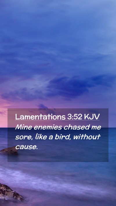 Picture 02 - Lamentations 3:52 KJV Mobile Phone Wallpaper - Mine enemies chased me sore, like a bird, without - Mobile Bible Verse Wallpaper