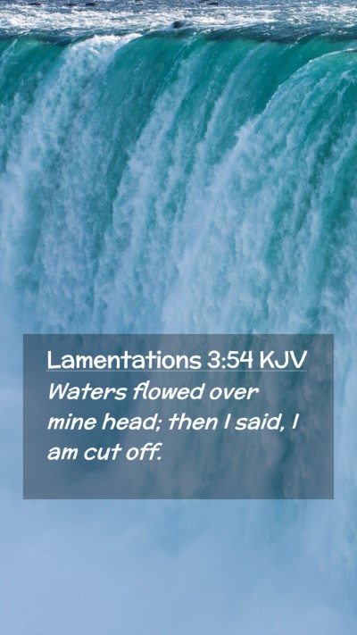 Picture 02 - Lamentations 3:54 KJV Mobile Phone Wallpaper - Waters flowed over mine head; then I said, I am - Mobile Bible Verse Wallpaper