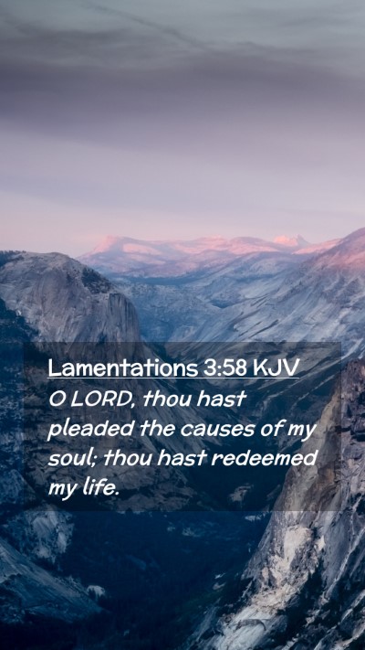 Picture 02 - Lamentations 3:58 KJV Mobile Phone Wallpaper - O LORD, thou hast pleaded the causes of my soul; - Mobile Bible Verse Wallpaper