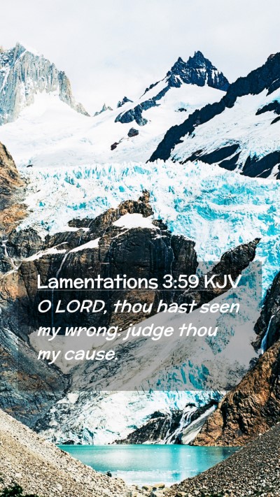 Picture 02 - Lamentations 3:59 KJV Mobile Phone Wallpaper - O LORD, thou hast seen my wrong: judge thou my - Mobile Bible Verse Wallpaper