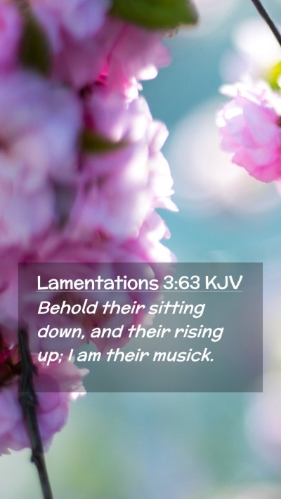 Picture 02 - Lamentations 3:63 KJV Mobile Phone Wallpaper - Behold their sitting down, and their rising up; I - Mobile Bible Verse Wallpaper