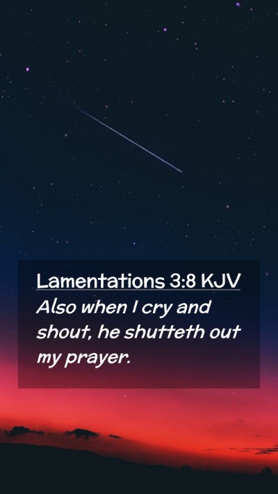 Picture 02 - Lamentations 3:8 KJV Mobile Phone Wallpaper - Also when I cry and shout, he shutteth out my - Mobile Bible Verse Wallpaper