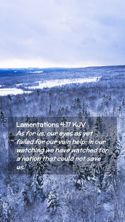 Picture 02 - Lamentations 4:17 KJV Mobile Phone Wallpaper - As for us, our eyes as yet failed for our vain - Mobile Bible Verse Wallpaper