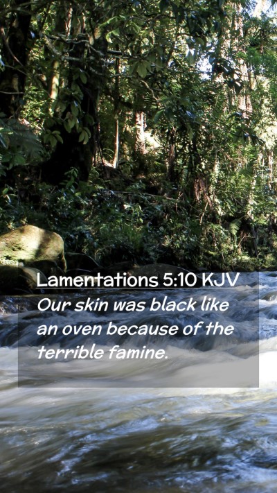Picture 02 - Lamentations 5:10 KJV Mobile Phone Wallpaper - Our skin was black like an oven because of the - Mobile Bible Verse Wallpaper
