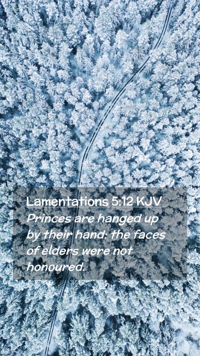 Picture 02 - Lamentations 5:12 KJV Mobile Phone Wallpaper - Princes are hanged up by their hand: the faces of - Mobile Bible Verse Wallpaper