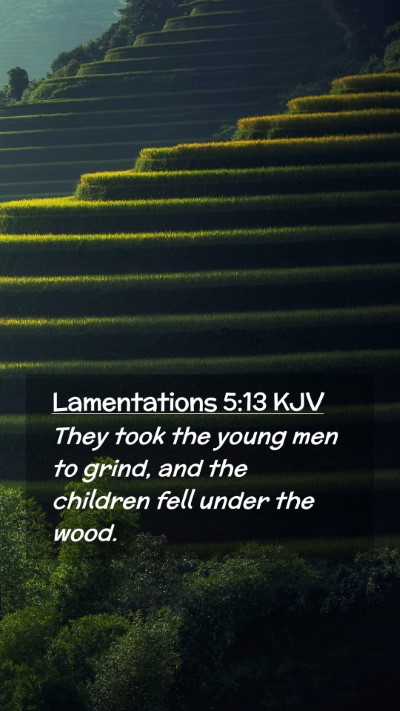 Picture 02 - Lamentations 5:13 KJV Mobile Phone Wallpaper - They took the young men to grind, and the - Mobile Bible Verse Wallpaper