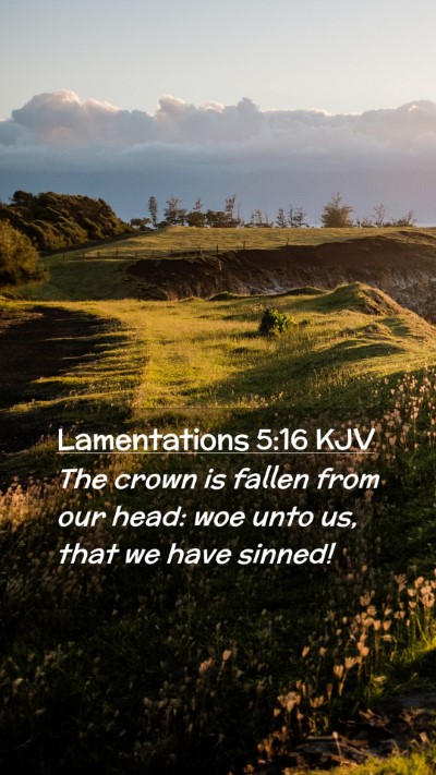 Picture 02 - Lamentations 5:16 KJV Mobile Phone Wallpaper - The crown is fallen from our head: woe unto us, - Mobile Bible Verse Wallpaper