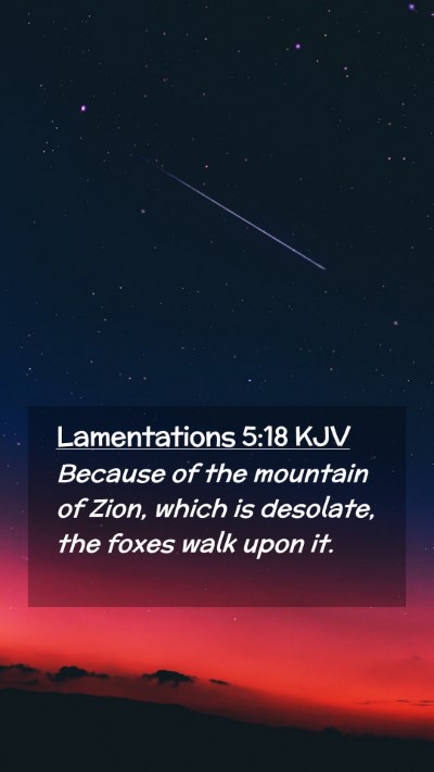 Picture 02 - Lamentations 5:18 KJV Mobile Phone Wallpaper - Because of the mountain of Zion, which is - Mobile Bible Verse Wallpaper