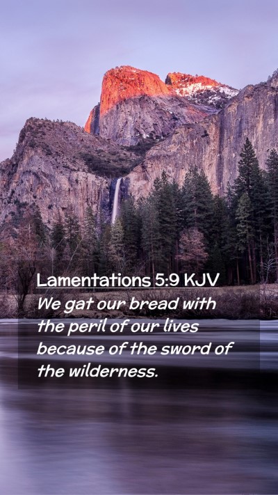 Picture 02 - Lamentations 5:9 KJV Mobile Phone Wallpaper - We gat our bread with the peril of our lives - Mobile Bible Verse Wallpaper
