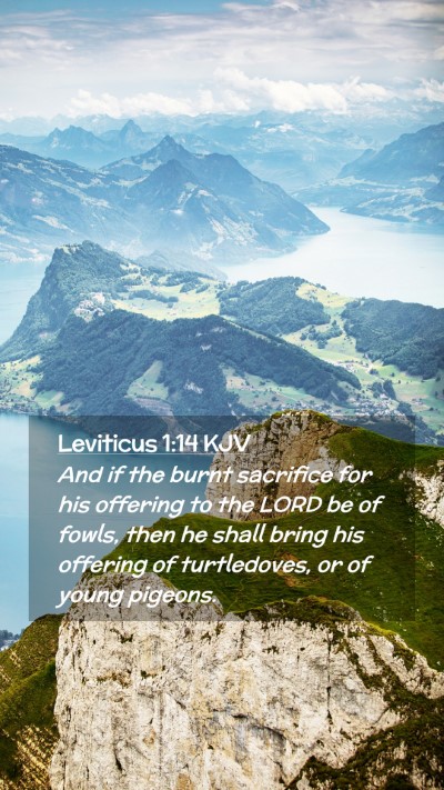 Picture 02 - Leviticus 1:14 KJV Mobile Phone Wallpaper - And if the burnt sacrifice for his offering to - Mobile Bible Verse Wallpaper
