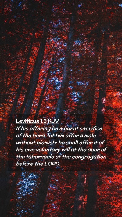 Picture 02 - Leviticus 1:3 KJV Mobile Phone Wallpaper - If his offering be a burnt sacrifice of the herd, - Mobile Bible Verse Wallpaper