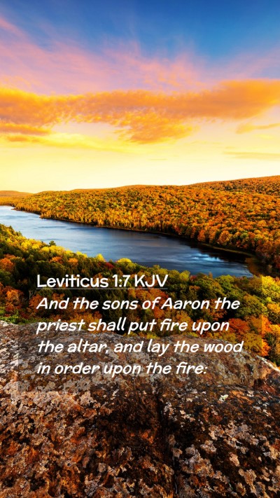 Picture 02 - Leviticus 1:7 KJV Mobile Phone Wallpaper - And the sons of Aaron the priest shall put fire - Mobile Bible Verse Wallpaper