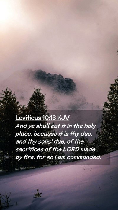 Picture 02 - Leviticus 10:13 KJV Mobile Phone Wallpaper - And ye shall eat it in the holy place, because it - Mobile Bible Verse Wallpaper