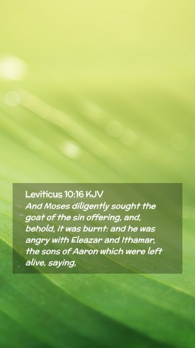 Picture 02 - Leviticus 10:16 KJV Mobile Phone Wallpaper - And Moses diligently sought the goat of the sin - Mobile Bible Verse Wallpaper