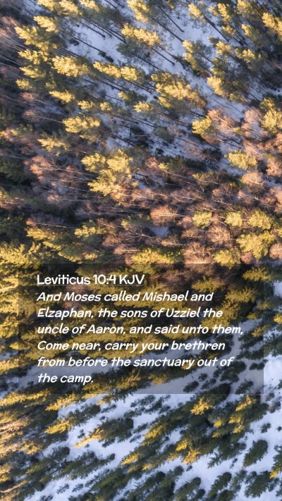 Picture 02 - Leviticus 10:4 KJV Mobile Phone Wallpaper - And Moses called Mishael and Elzaphan, the sons - Mobile Bible Verse Wallpaper