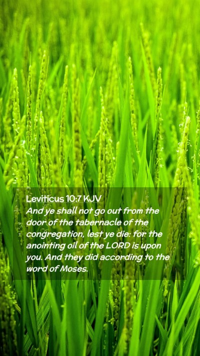 Picture 02 - Leviticus 10:7 KJV Mobile Phone Wallpaper - And ye shall not go out from the door of the - Mobile Bible Verse Wallpaper
