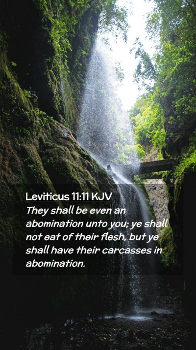 Picture 02 - Leviticus 11:11 KJV Mobile Phone Wallpaper - They shall be even an abomination unto you; ye - Mobile Bible Verse Wallpaper