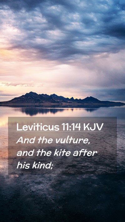 Picture 02 - Leviticus 11:14 KJV Mobile Phone Wallpaper - And the vulture, and the kite after his - Mobile Bible Verse Wallpaper
