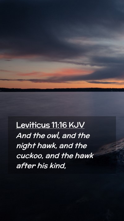 Picture 02 - Leviticus 11:16 KJV Mobile Phone Wallpaper - And the owl, and the night hawk, and the cuckoo, - Mobile Bible Verse Wallpaper