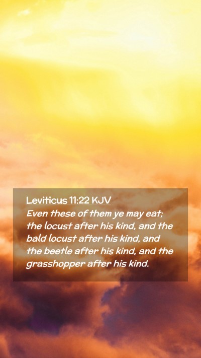 Picture 02 - Leviticus 11:22 KJV Mobile Phone Wallpaper - Even these of them ye may eat; the locust after - Mobile Bible Verse Wallpaper