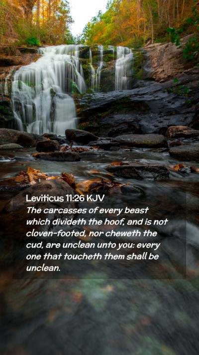 Picture 02 - Leviticus 11:26 KJV Mobile Phone Wallpaper - The carcasses of every beast which divideth the - Mobile Bible Verse Wallpaper