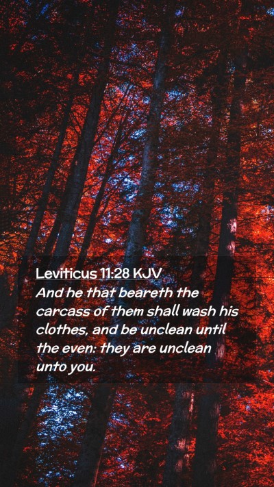 Picture 02 - Leviticus 11:28 KJV Mobile Phone Wallpaper - And he that beareth the carcass of them shall - Mobile Bible Verse Wallpaper