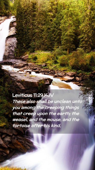 Picture 02 - Leviticus 11:29 KJV Mobile Phone Wallpaper - These also shall be unclean unto you among the - Mobile Bible Verse Wallpaper