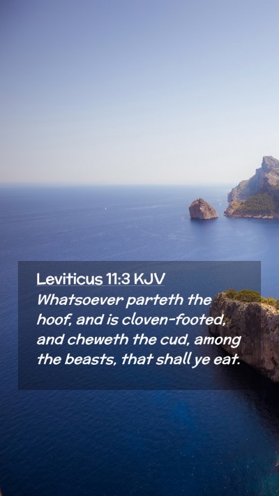 Picture 02 - Leviticus 11:3 KJV Mobile Phone Wallpaper - Whatsoever parteth the hoof, and is - Mobile Bible Verse Wallpaper