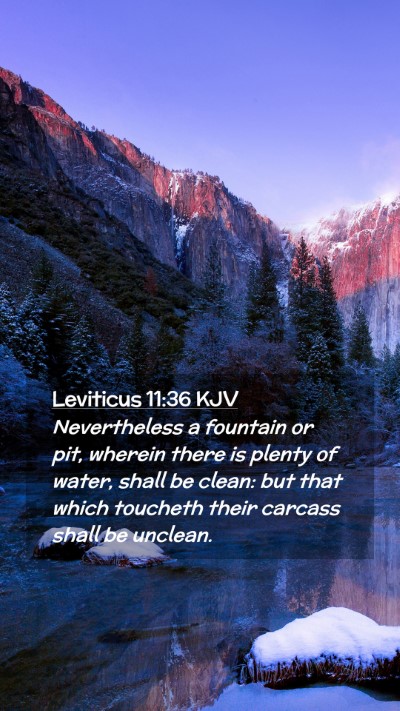 Picture 02 - Leviticus 11:36 KJV Mobile Phone Wallpaper - Nevertheless a fountain or pit, wherein there is - Mobile Bible Verse Wallpaper