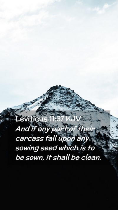 Picture 02 - Leviticus 11:37 KJV Mobile Phone Wallpaper - And if any part of their carcass fall upon any - Mobile Bible Verse Wallpaper