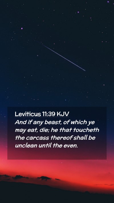 Picture 02 - Leviticus 11:39 KJV Mobile Phone Wallpaper - And if any beast, of which ye may eat, die; he - Mobile Bible Verse Wallpaper