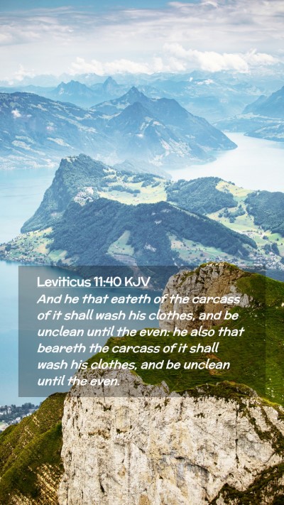 Picture 02 - Leviticus 11:40 KJV Mobile Phone Wallpaper - And he that eateth of the carcass of it shall - Mobile Bible Verse Wallpaper