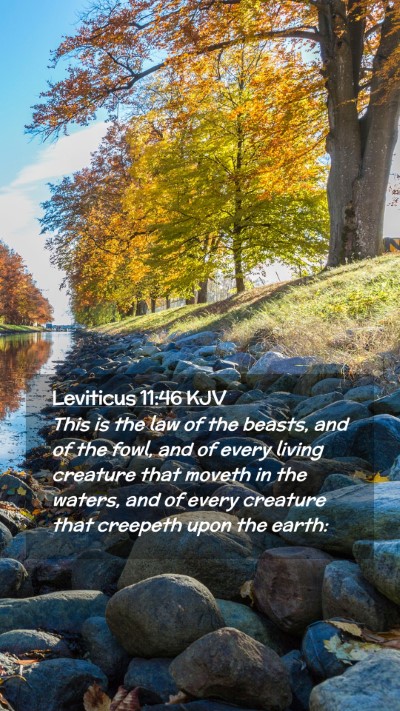 Picture 02 - Leviticus 11:46 KJV Mobile Phone Wallpaper - This is the law of the beasts, and of the fowl, - Mobile Bible Verse Wallpaper