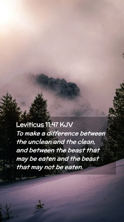 Picture 02 - Leviticus 11:47 KJV Mobile Phone Wallpaper - To make a difference between the unclean and the - Mobile Bible Verse Wallpaper