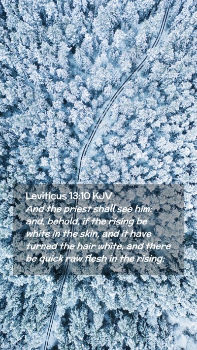 Picture 02 - Leviticus 13:10 KJV Mobile Phone Wallpaper - And the priest shall see him: and, behold, if the - Mobile Bible Verse Wallpaper