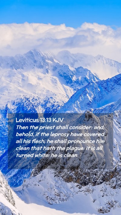 Picture 02 - Leviticus 13:13 KJV Mobile Phone Wallpaper - Then the priest shall consider: and, behold, if - Mobile Bible Verse Wallpaper