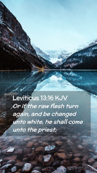 Picture 02 - Leviticus 13:16 KJV Mobile Phone Wallpaper - Or if the raw flesh turn again, and be changed - Mobile Bible Verse Wallpaper