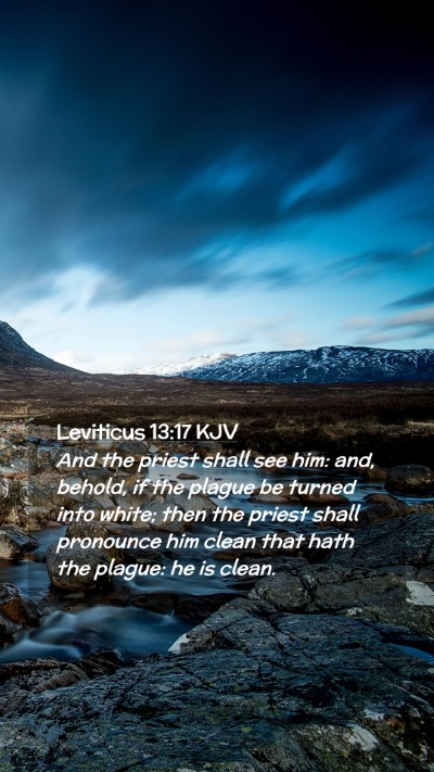 Picture 02 - Leviticus 13:17 KJV Mobile Phone Wallpaper - And the priest shall see him: and, behold, if the - Mobile Bible Verse Wallpaper