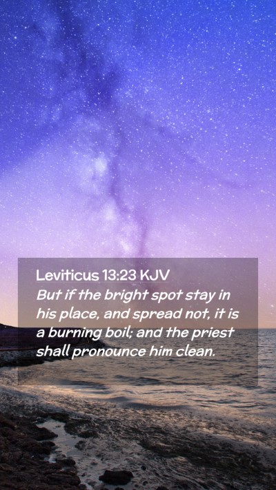 Picture 02 - Leviticus 13:23 KJV Mobile Phone Wallpaper - But if the bright spot stay in his place, and - Mobile Bible Verse Wallpaper