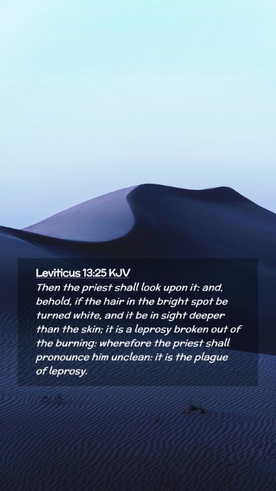 Picture 02 - Leviticus 13:25 KJV Mobile Phone Wallpaper - Then the priest shall look upon it: and, behold, - Mobile Bible Verse Wallpaper