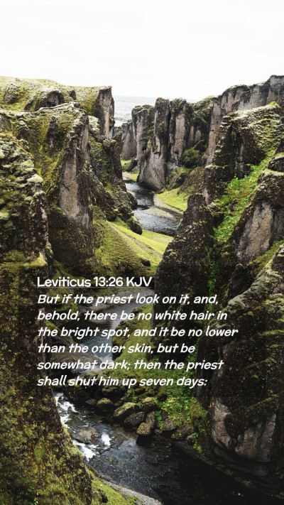 Picture 02 - Leviticus 13:26 KJV Mobile Phone Wallpaper - But if the priest look on it, and, behold, there - Mobile Bible Verse Wallpaper