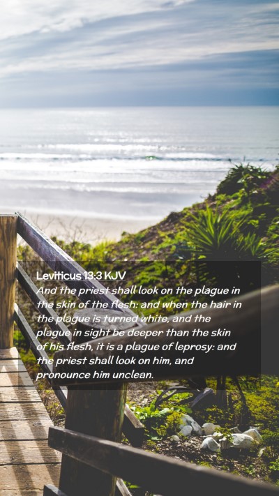Picture 02 - Leviticus 13:3 KJV Mobile Phone Wallpaper - And the priest shall look on the plague in the - Mobile Bible Verse Wallpaper
