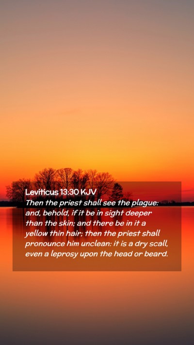 Picture 02 - Leviticus 13:30 KJV Mobile Phone Wallpaper - Then the priest shall see the plague: and, - Mobile Bible Verse Wallpaper