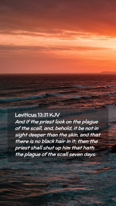 Picture 02 - Leviticus 13:31 KJV Mobile Phone Wallpaper - And if the priest look on the plague of the - Mobile Bible Verse Wallpaper