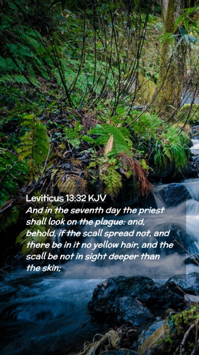 Picture 02 - Leviticus 13:32 KJV Mobile Phone Wallpaper - And in the seventh day the priest shall look on - Mobile Bible Verse Wallpaper